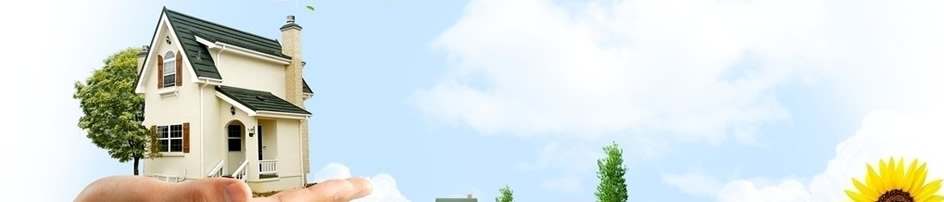 双鸭山喜洋洋保洁